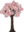 Cherry Tree Late Spring.png